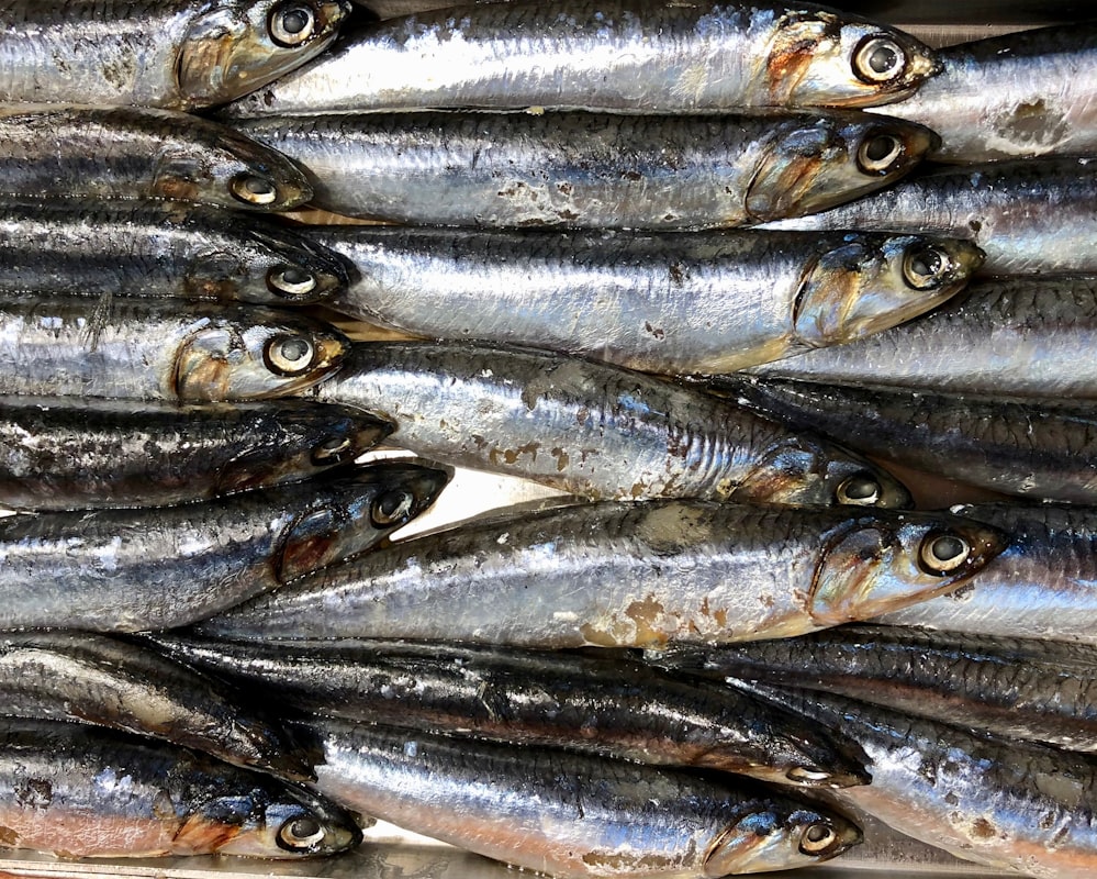 Nutrient-rich foods for clear skin health
